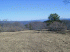 Top of Gauley Ridge
