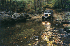 Shoe Creek