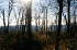 View from State Line