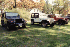 Blue, White and Red Jeeps